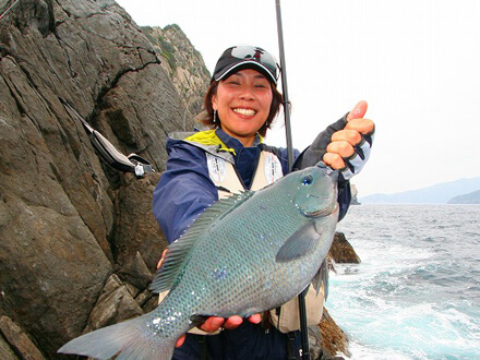 釣れたメジナの画像