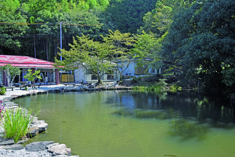 中庭の池の画像