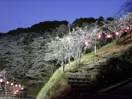 南レク城辺公園の夜の画像