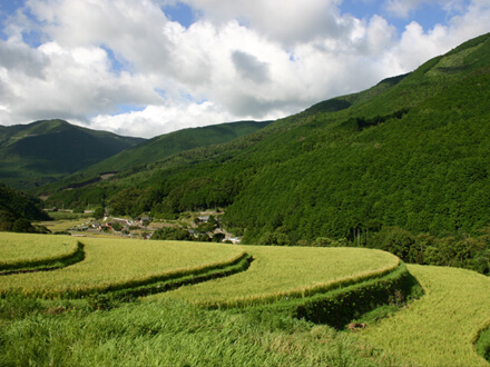 山出の棚田の風景の画像