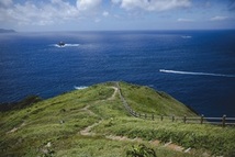 高茂岬の画像